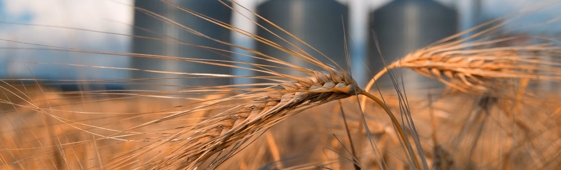 Agribusiness engineering project